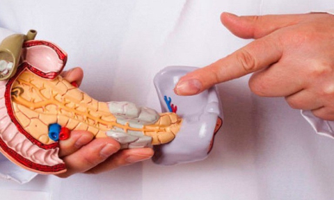 Vai trò của tuyến tụy trong hệ thống nội tiết
